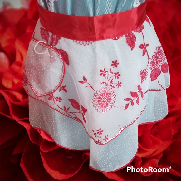 Vintage crisp chiffon Apron NWOT! C100 - Picture 3 of 6